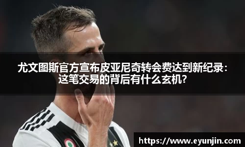 k1体育网页版