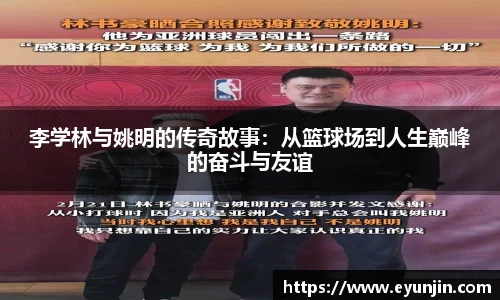 k1体育网页版